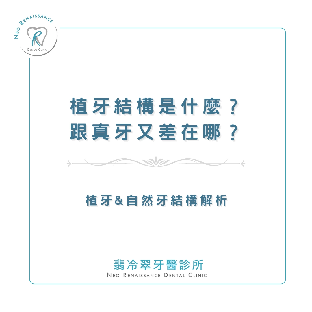 《植牙&自然牙結構大解析》