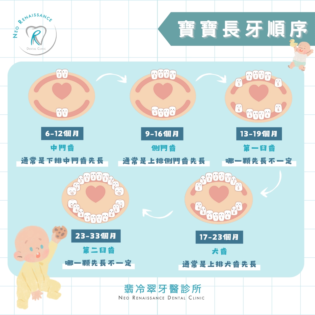 《為什麼寶寶還沒長牙？》