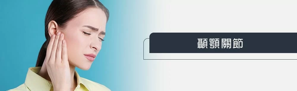 顳顎關節 顳顎關節
